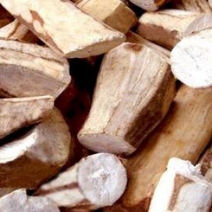 SẮN CỤC