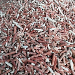 CÙI BẮP (LÕI NGÔ)