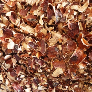 VỎ LỤA HẠT ĐIỀU 