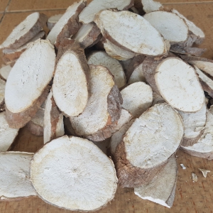 SẮN LÁT 